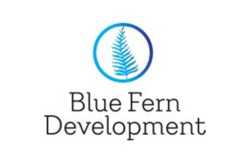 blue fern